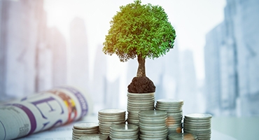 Comptes à Terme en Dinars Convertibles - STB Bank (term)